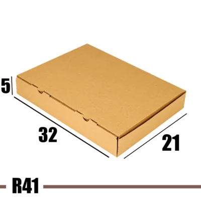 R41