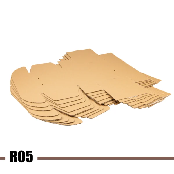 R05
